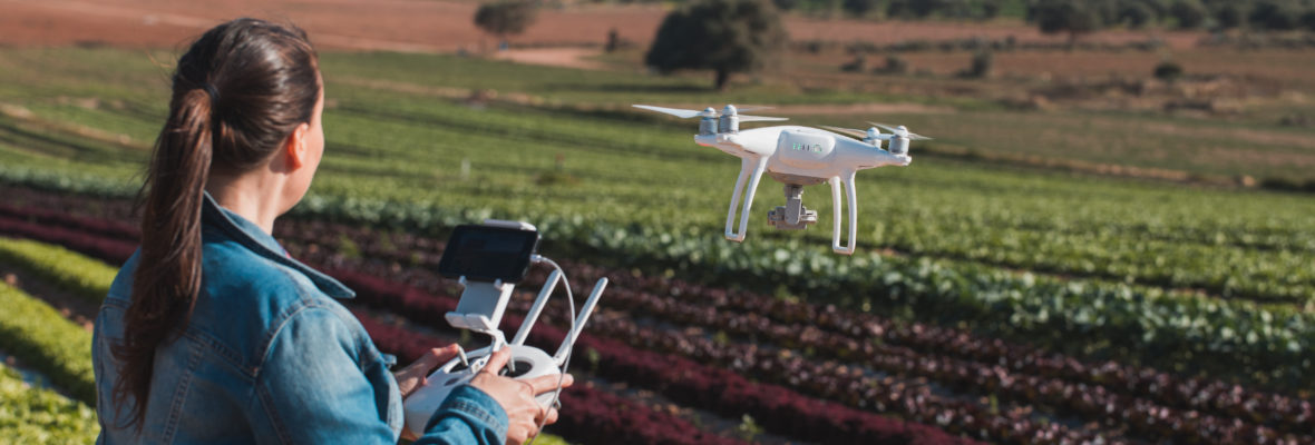 Drone Landwirtschaft