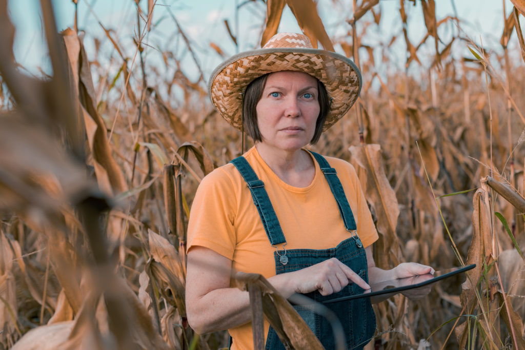 Landwirtschaft am stärksten von neuen Gesetzen belastet