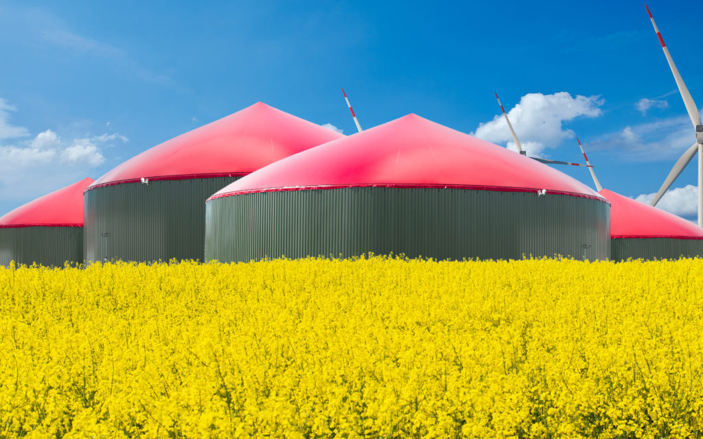Energiekrise: Steht Biogas eine Renaissance bevor?