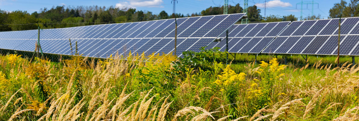 Solar Power Station on the summer Meadow